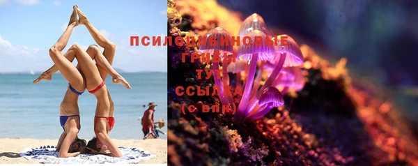 COCAINE Богородицк