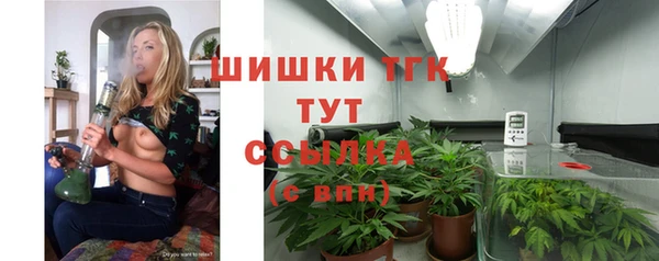 гидра Белокуриха