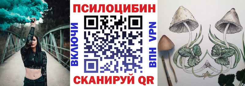 OMG как войти  Няндома  Галлюциногенные грибы Cubensis 
