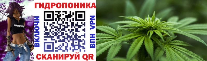 Конопля Bruce Banner  купить закладку  Няндома 